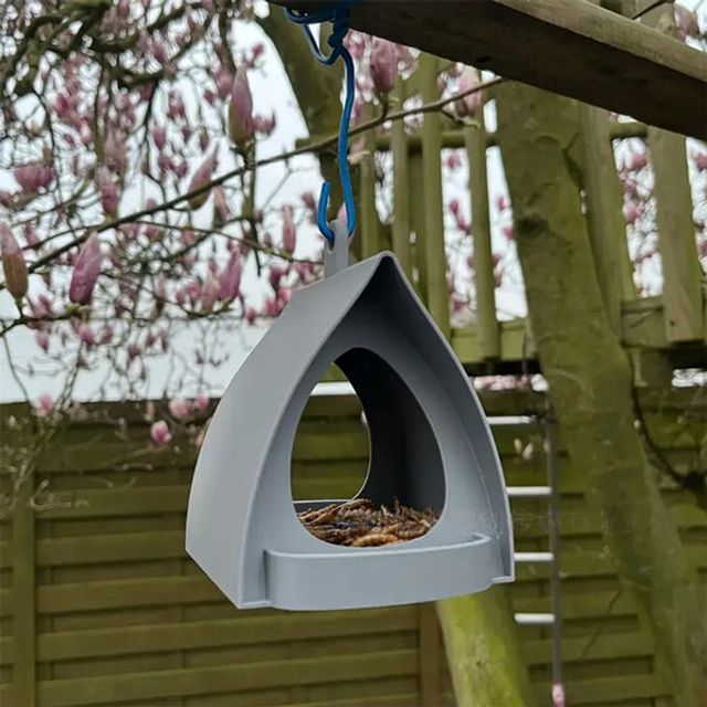 One Feeder, Every Season, Countless Little Moments