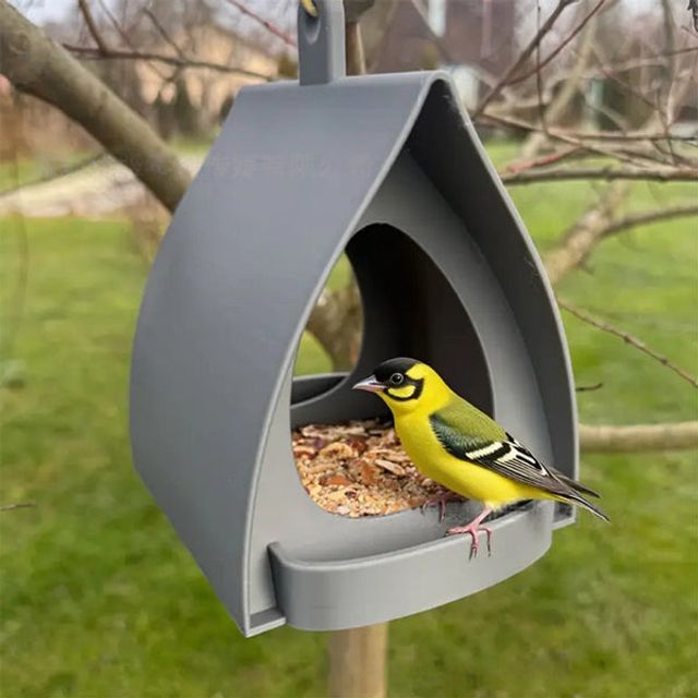 One Feeder, Every Season, Countless Little Moments